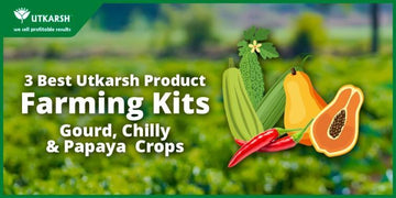 3 Best Farming schedule kit for Chilli, Gourd and Papaya crops by Utkarsh