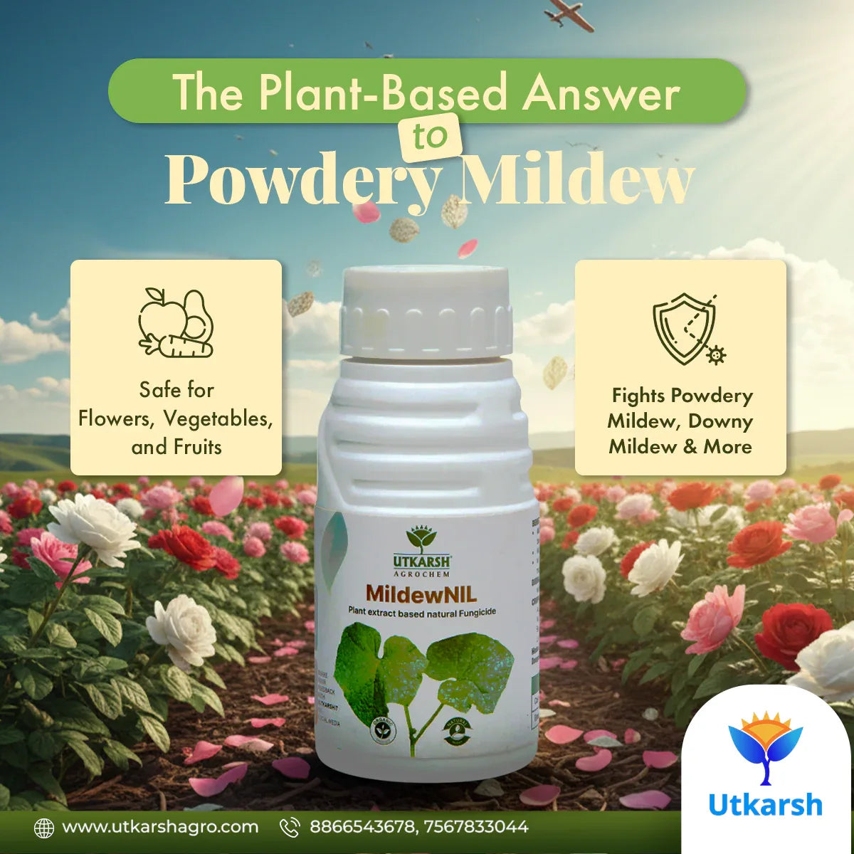 MildewNil - Plant Extract-Based Natural Fungicide - Utkarsh Agrochem Pvt ltd.