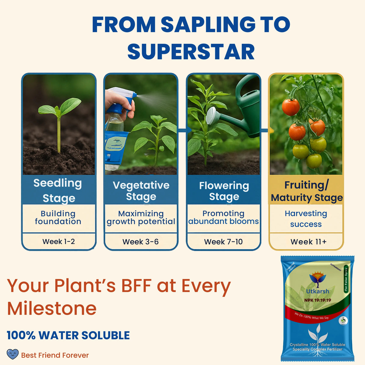 NPK 19 19 19 Fertilizer for Plants Growth | 100% Water Soluble | Complete Plant Food for Home Garden, Boosts Plant Health and Flowering