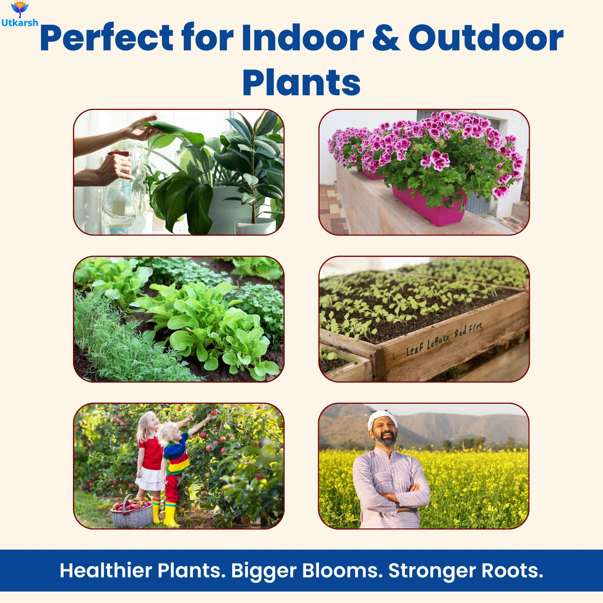 NPK 19 19 19 Fertilizer for Plants Growth | 100% Water Soluble | Complete Plant Food for Home Garden, Boosts Plant Health and Flowering