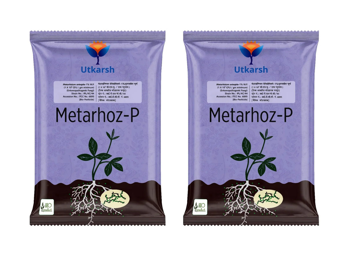 Metarhizium Anisopliae 1% W.P. 1 x 10^8 CFU/gm min. Bio Insecticides for Plants, Crops and Home Gardening - Metarhoz-P - Utkarsh Agrochem Pvt ltd.