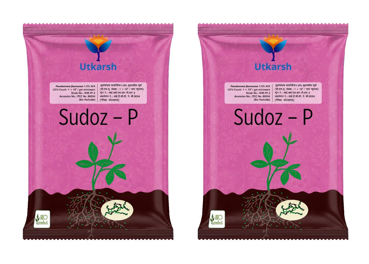 Pseudomonas Fluorescens 1.0% W.P. CFU Count: 1 x 10^8 / gm. min. Bio Fungicides for Plants, Crops and Home Gardening - Sudoz-P - Utkarsh Agrochem Pvt ltd.