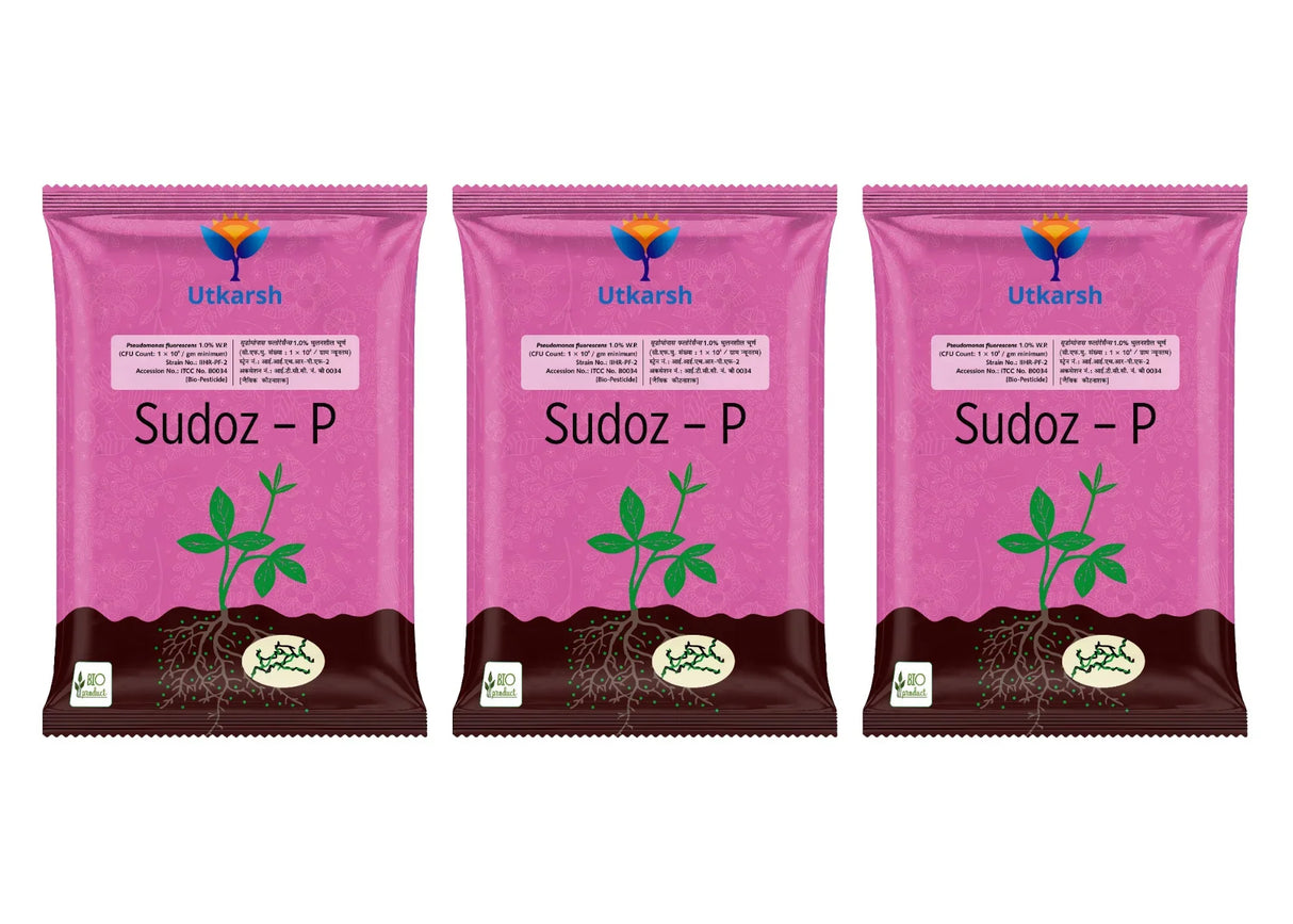 Pseudomonas Fluorescens 1.0% W.P. CFU Count: 1 x 10^8 / gm. min. Bio Fungicides for Plants, Crops and Home Gardening - Sudoz-P - Utkarsh Agrochem Pvt ltd.