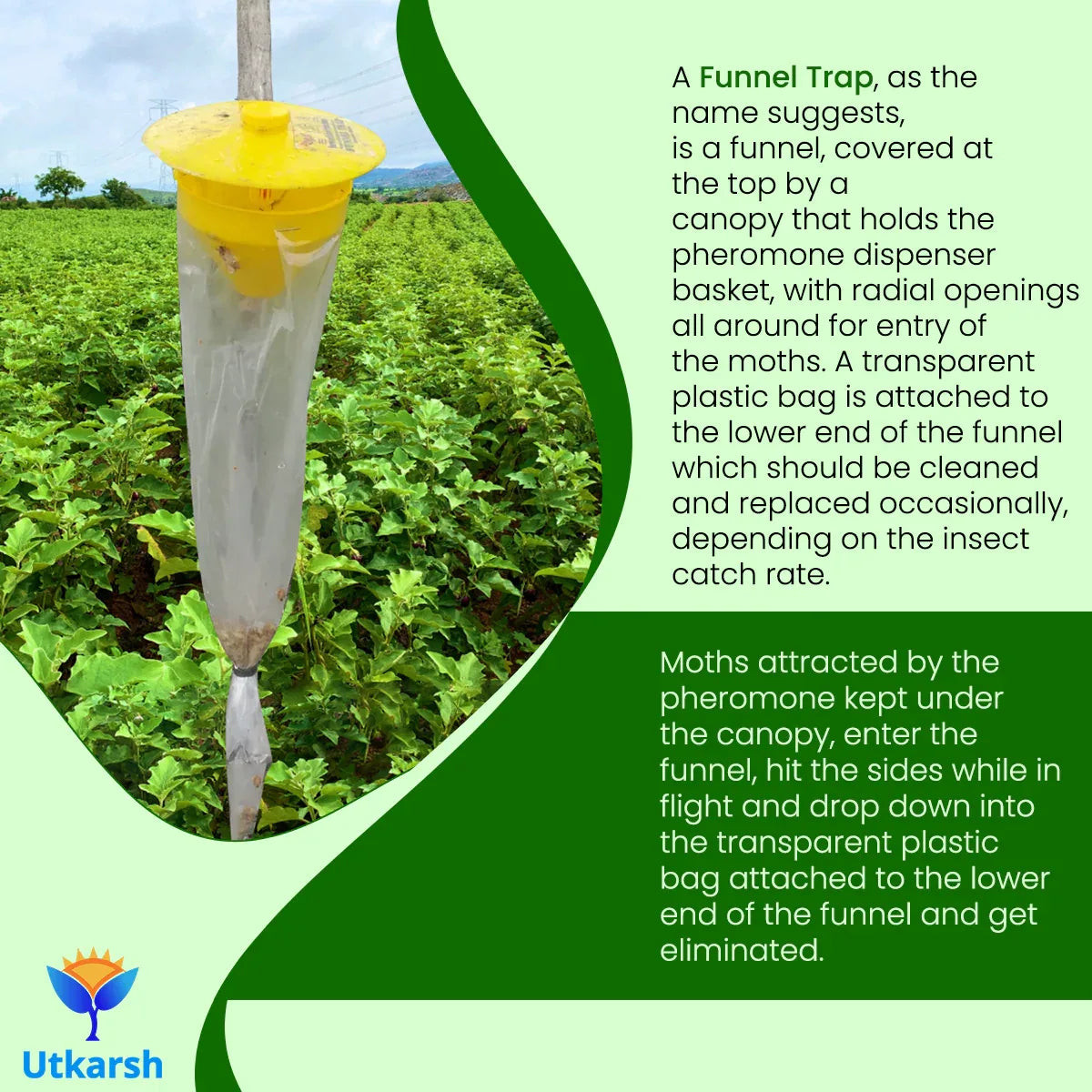 Funnel Trap - Utkarsh Agrochem Pvt ltd.