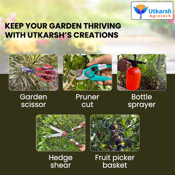Pickaxe (Tiller) & Hand Hoes with Prongs- 3 Pc - Utkarsh Agrochem Pvt ltd.