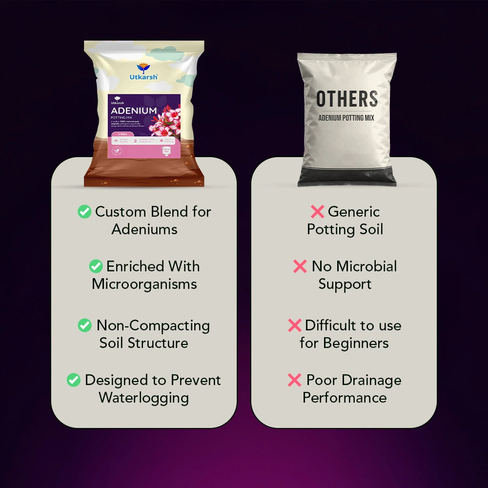 Adenium Potting Mix for Desert Rose Plants | Fast-Draining Organic Soil Blend with Microorganisms, Perlite & Neem Cake | Promotes Healthy Caudex, Root Health & Heavy Blooming