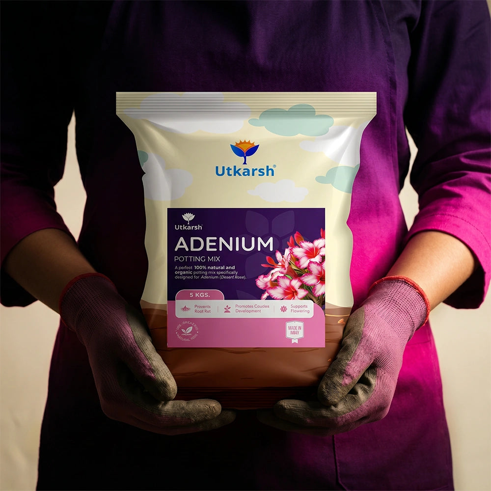Adenium Potting Mix for Desert Rose Plants | Fast-Draining Organic Soil Blend with Microorganisms, Perlite & Neem Cake | Promotes Healthy Caudex, Root Health & Heavy Blooming