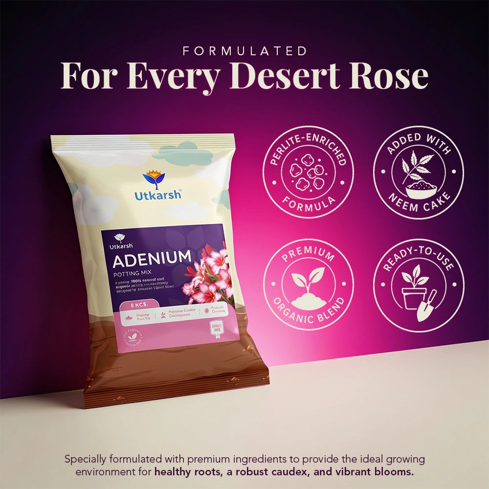 Adenium Potting Mix for Desert Rose Plants | Fast-Draining Organic Soil Blend with Microorganisms, Perlite & Neem Cake | Promotes Healthy Caudex, Root Health & Heavy Blooming
