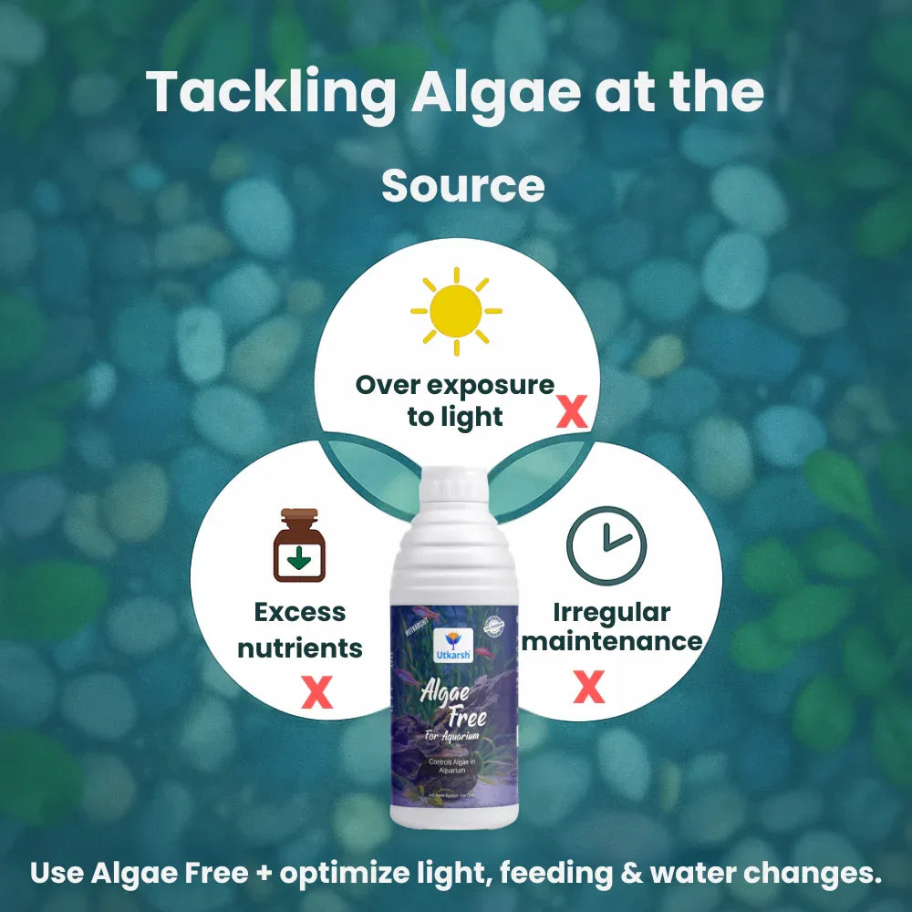 Algae Free for Aquarium Tank | Algae Cleaner, Liquid Algae Scraper for Fish Tank and Algae Remover - Utkarsh Agrochem Pvt ltd.