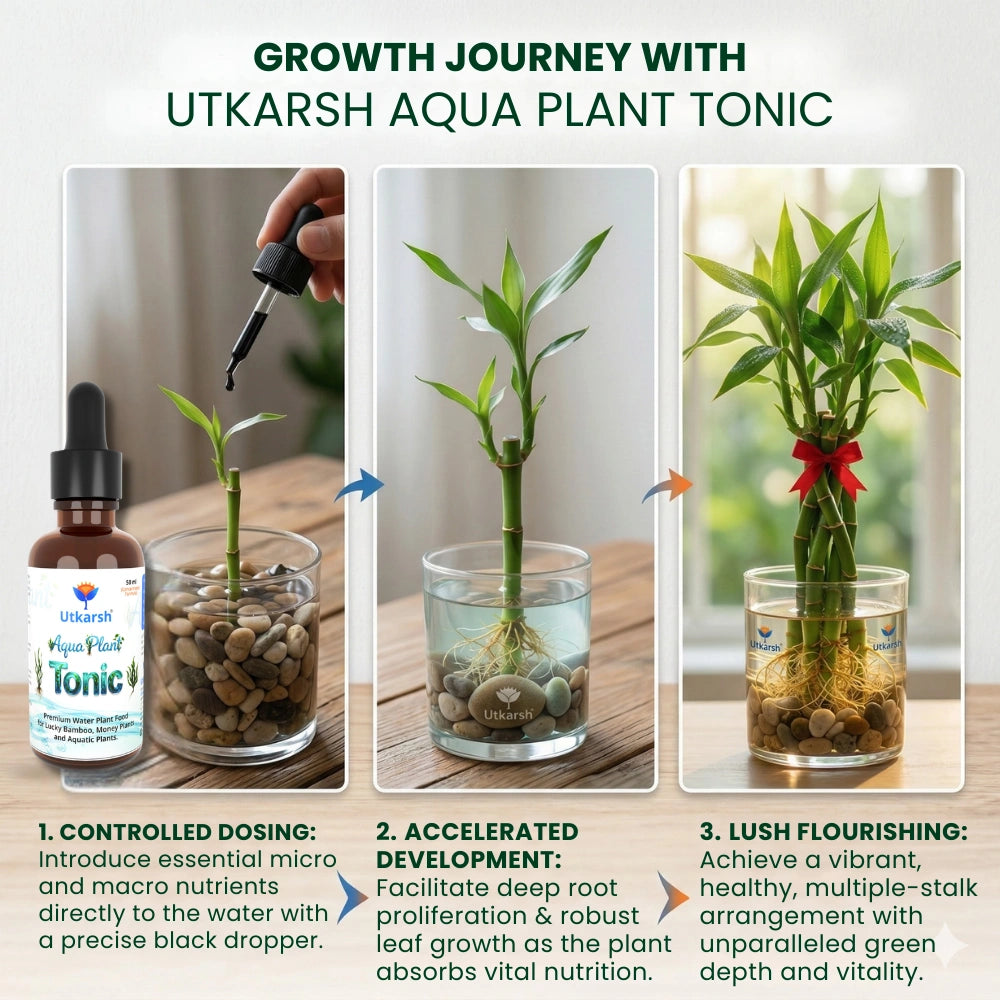 Aqua Plant Tonic - 50 ml, Liquid Fertilizer for Plants Growing in Water | Premium Plant Food & Growth Booster for Lucky Bamboo, Aquatic and Money Plants, Pack of 1