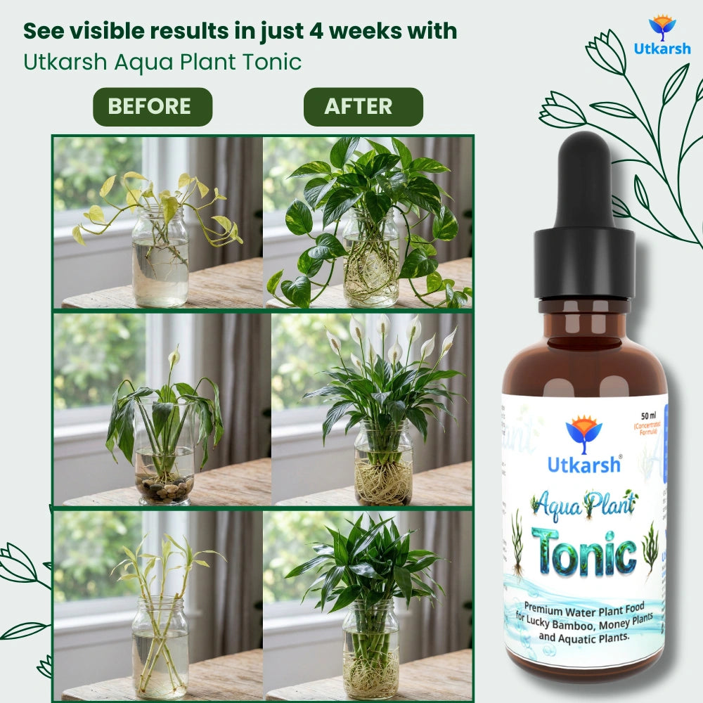 Aqua Plant Tonic - 50 ml, Liquid Fertilizer for Plants Growing in Water | Premium Plant Food & Growth Booster for Lucky Bamboo, Aquatic and Money Plants, Pack of 1