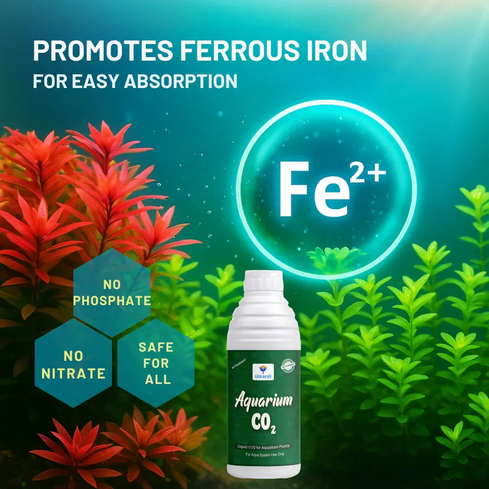 Aquarium CO₂ (Liquid CO2 for Aquarium Plants) - Utkarsh Agrochem Pvt ltd.