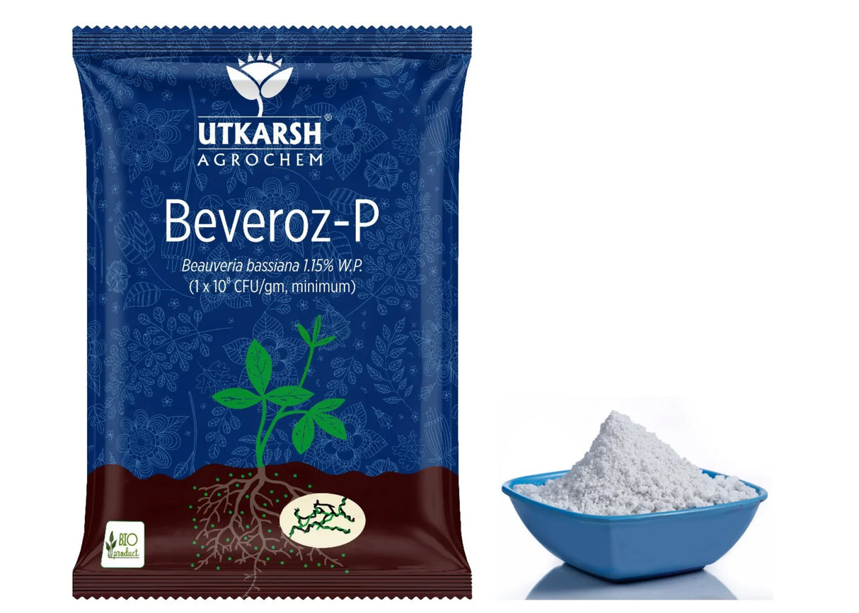 Beauveria Bassiana 1.15% W.P. 1 x 10^8 CFU/gm min. Bio Insecticides for Plants, Crops and Home Gardening - Beveroz-P - Utkarsh Agrochem Pvt ltd.