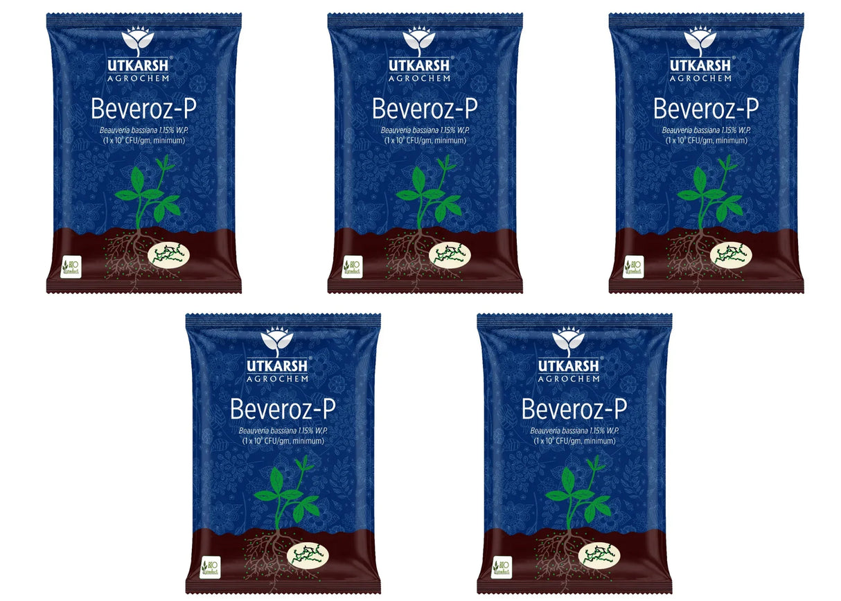 Beauveria Bassiana 1.15% W.P. 1 x 10^8 CFU/gm min. Bio Insecticides for Plants, Crops and Home Gardening - Beveroz-P - Utkarsh Agrochem Pvt ltd.
