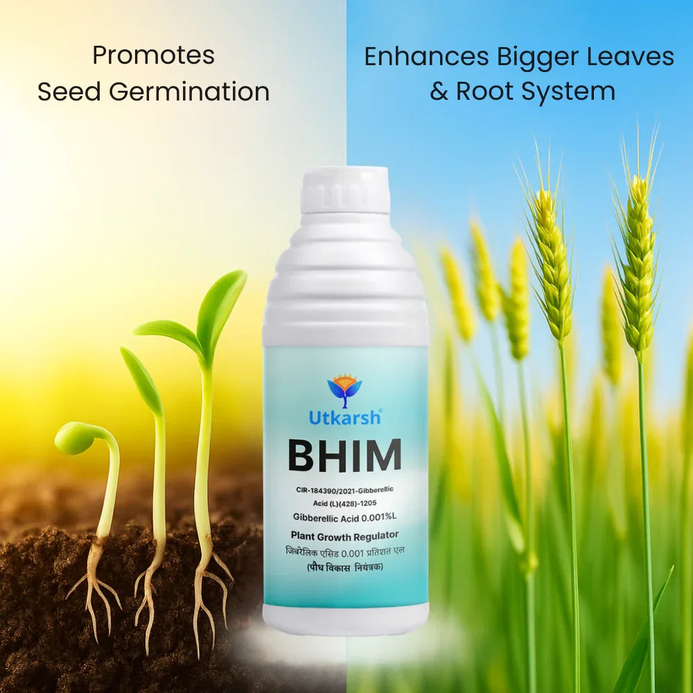 Bhim (Gibberellic Acid 0.001% L) | Plant Growth Regulator - Utkarsh Agrochem Pvt ltd.