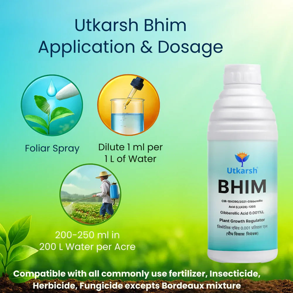 Bhim (Gibberellic Acid 0.001% L) | Plant Growth Regulator - Utkarsh Agrochem Pvt ltd.