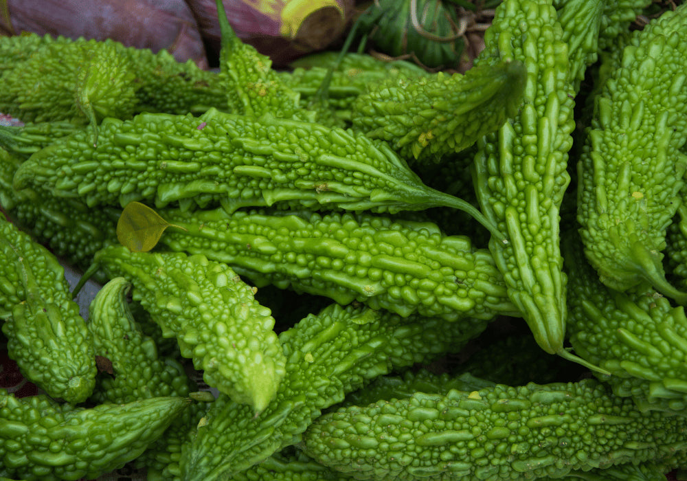 Bitter Gourd - Karela Farming Schedule Utkarsh