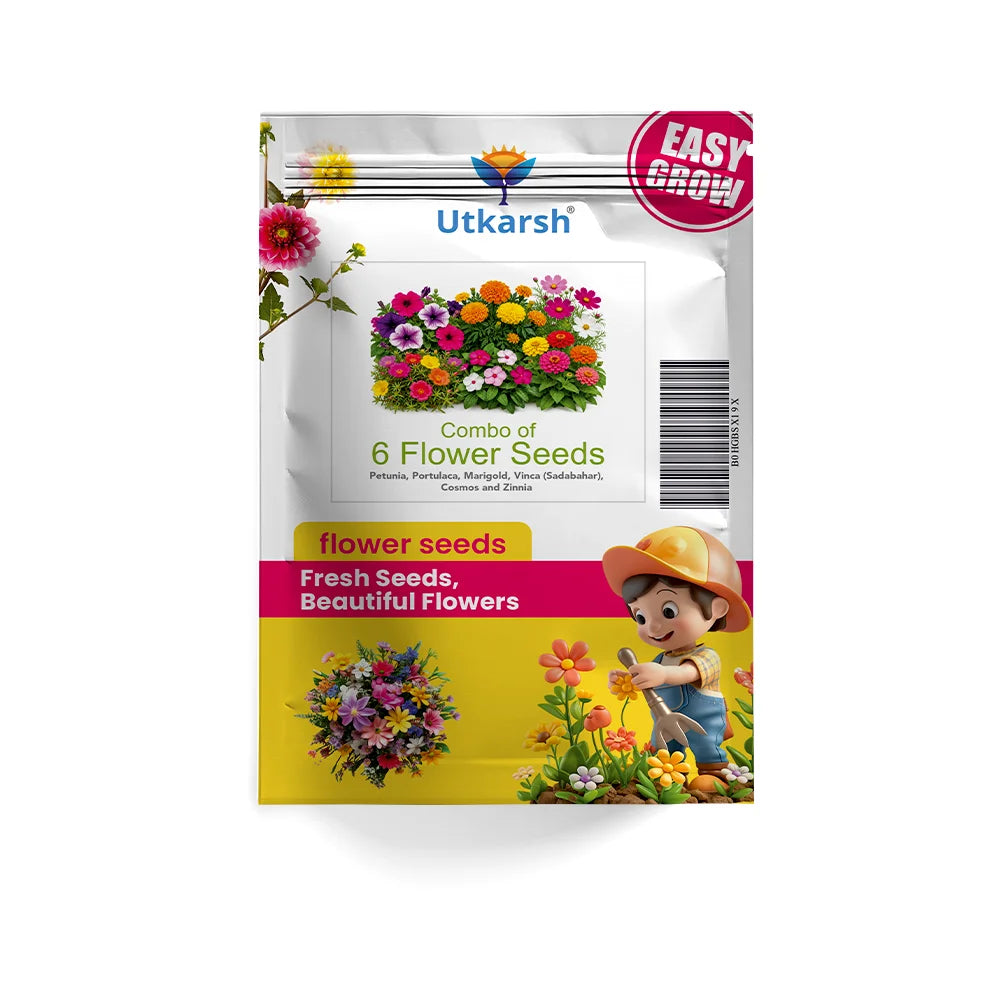 Vegetable Seeds for Home Garden – Spinach, Coriander, Fenugreek, Red Amaranthus, Malabar Spinach & Parsley | Combo Pack of 6 | Easy to Grow in Pots & Gardens