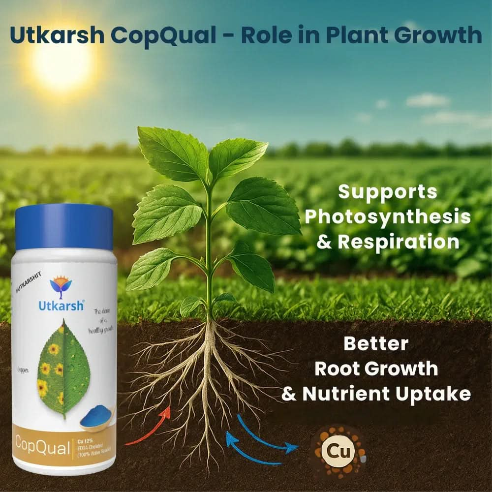 Copper - 12% EDTA Chelated Micronutrient, 100% Water Soluble Fertilizers for Plants Corrects & Prevents Copper Deficiency in Plants & Home Garden | CopQual - Utkarsh Agrochem Pvt ltd.