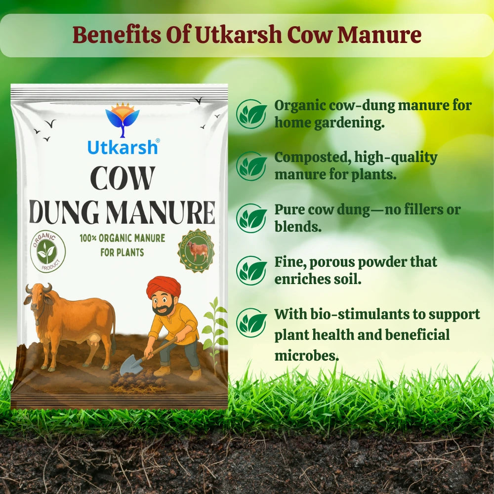 Cow Dung Manure, 100% Natural Organic Fertilizer for Plants, Nutrient-Rich Microbial Compost, Improves Plant Health, Water Retention & Soil Fertility, Sourced from Desi Gaushalas