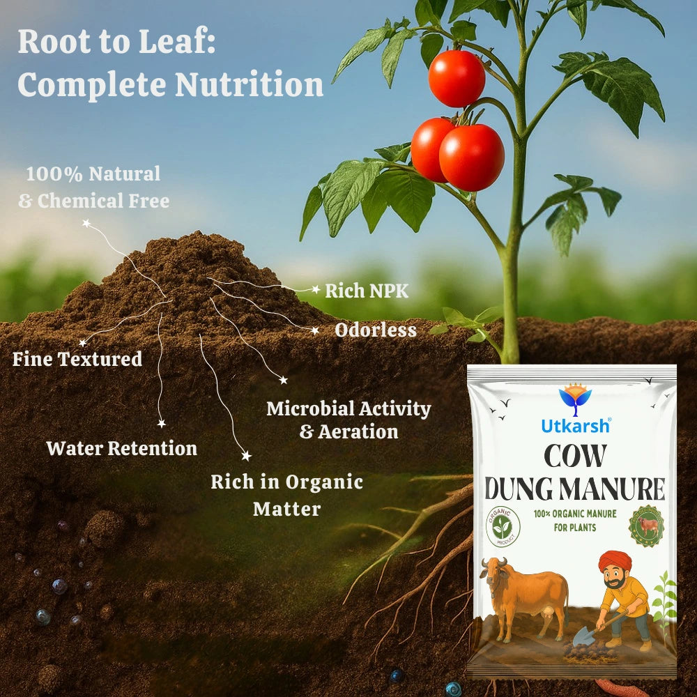 Cow Dung Manure, 100% Natural Organic Fertilizer for Plants, Nutrient-Rich Microbial Compost, Improves Plant Health, Water Retention & Soil Fertility, Sourced from Desi Gaushalas