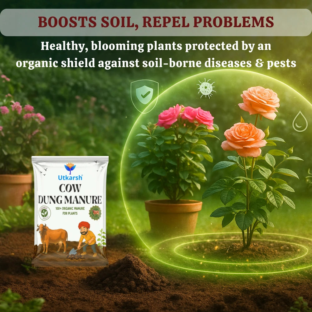 Cow Dung Manure, 100% Natural Organic Fertilizer for Plants, Nutrient-Rich Microbial Compost, Improves Plant Health, Water Retention & Soil Fertility, Sourced from Desi Gaushalas