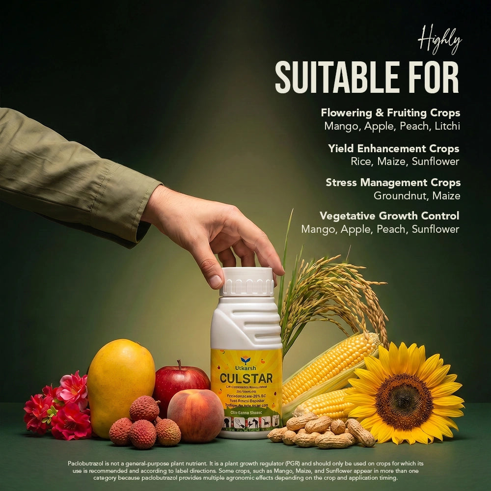 CulStar - Paclobutrazol 23% SC Plant Growth Regulator | Controls Tree Vigor & Enhances Flowering | Improves Yield & Fruit Quality