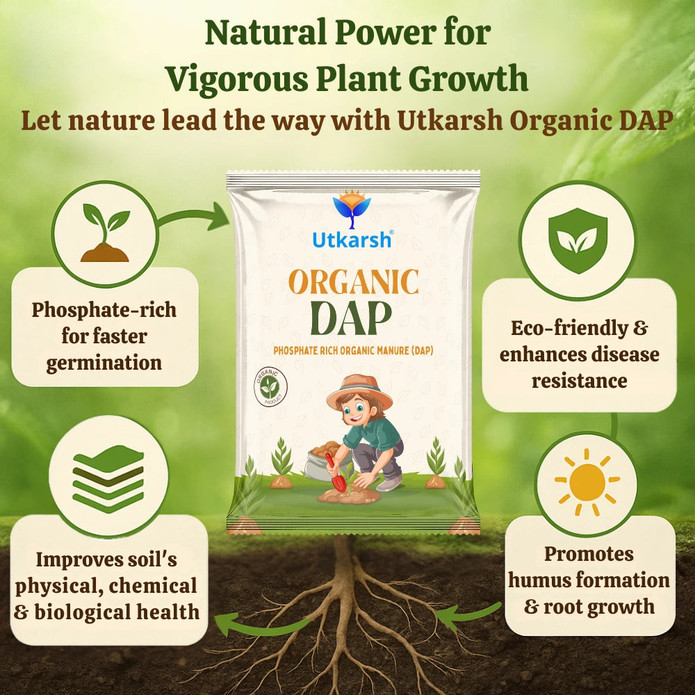 Organic DAP Fertilizer for Plants, Home & Garden - 100% Water Soluble Granules, Bio DAP Fertilizers & Manure for Plants Growth | Improves Flowering, Fruiting & Vegetables
