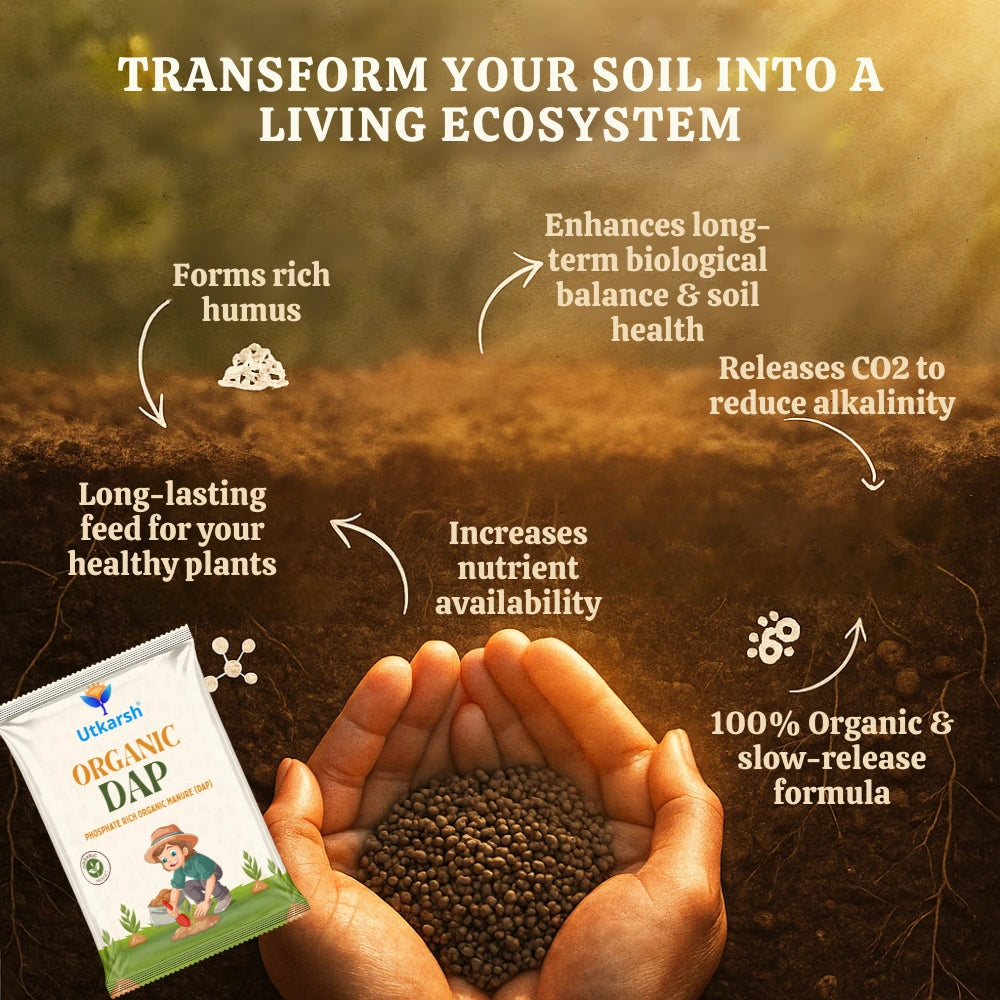 Organic DAP Fertilizer for Plants, Home & Garden - 100% Water Soluble Granules, Bio DAP Fertilizers & Manure for Plants Growth | Improves Flowering, Fruiting & Vegetables