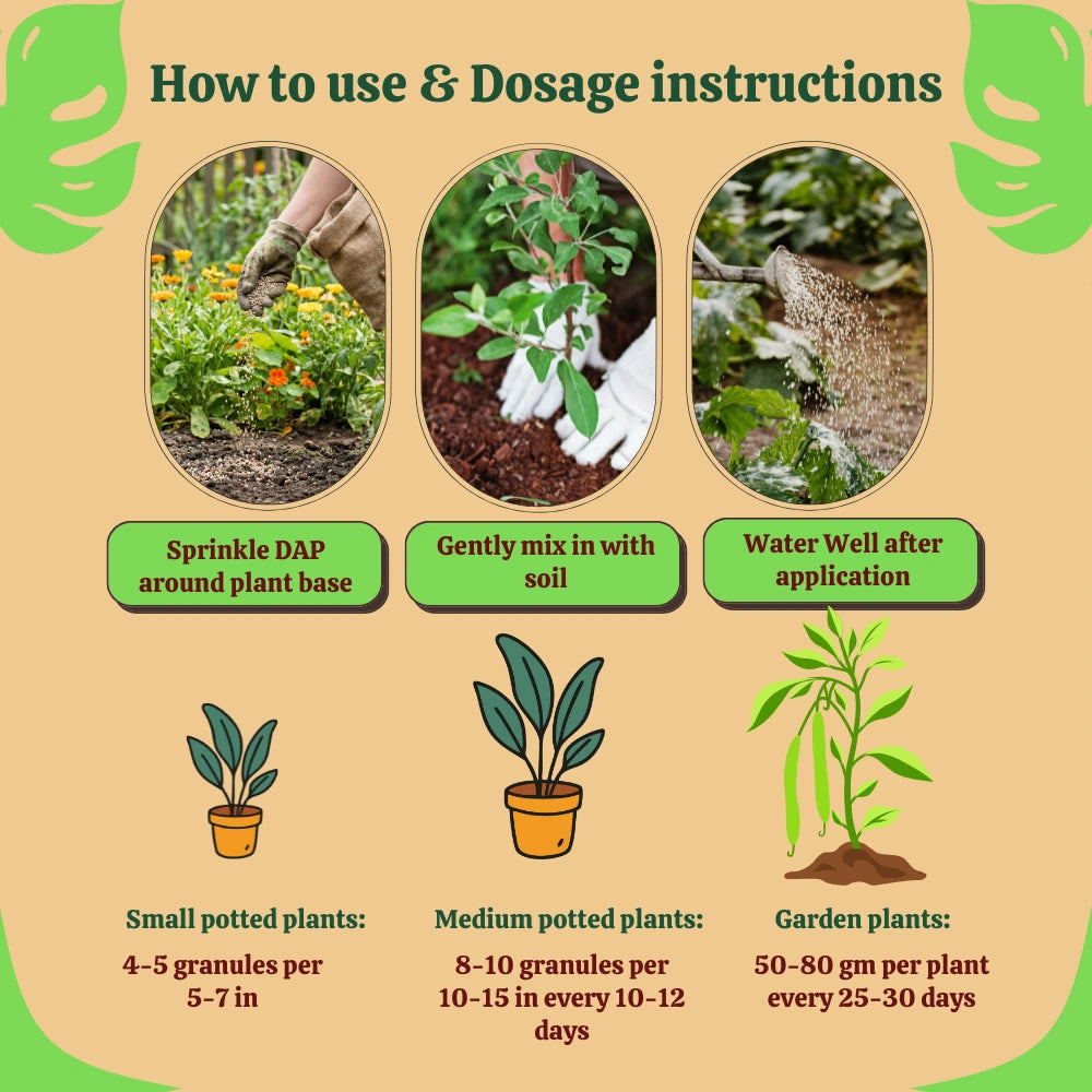 Organic DAP Fertilizer for Plants, Home & Garden - 100% Water Soluble Granules, Bio DAP Fertilizers & Manure for Plants Growth | Improves Flowering, Fruiting & Vegetables
