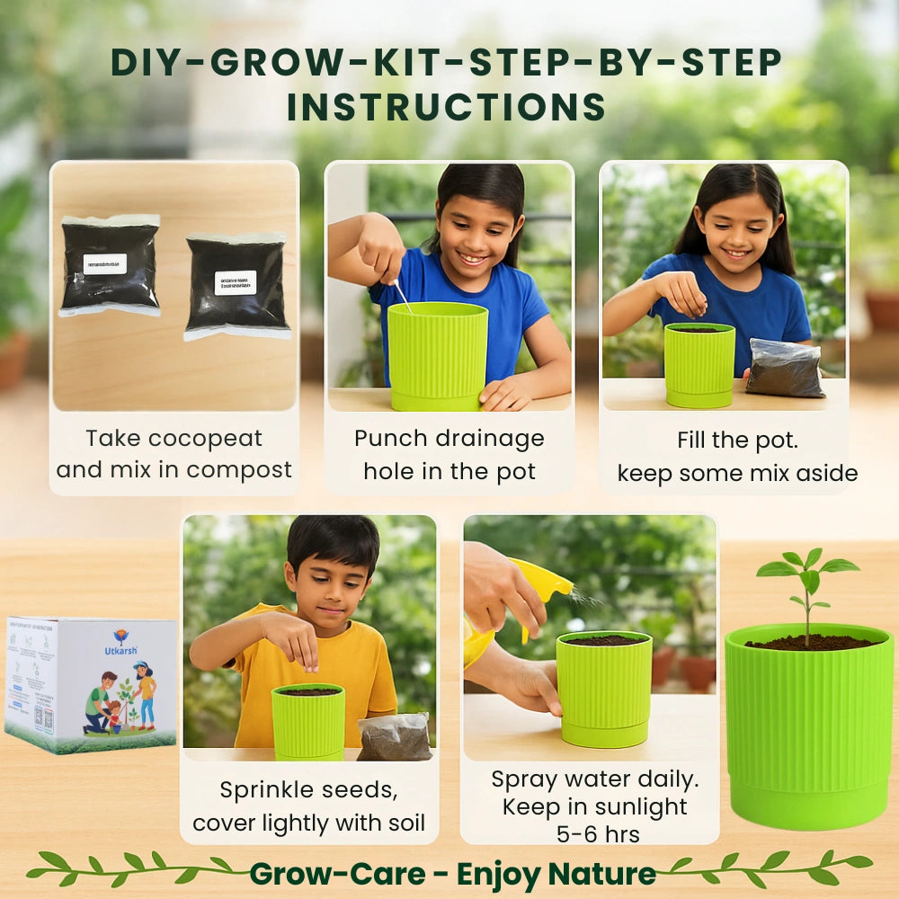 Seasonal Vegetable DIY Kit for Gifting | Best Return Gift For Kids Birthday Party | Eco-Friendly, Easy-to-Grow Kit for Home & Kitchen Gardening