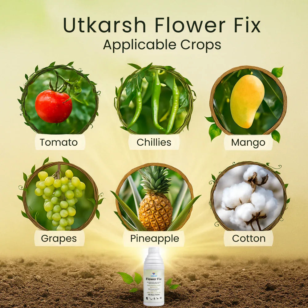 Flower Fix (Alpha Naphthyl Acetic Acid 4.5% SL) | Plant Growth Regulator - Utkarsh Agrochem Pvt ltd.
