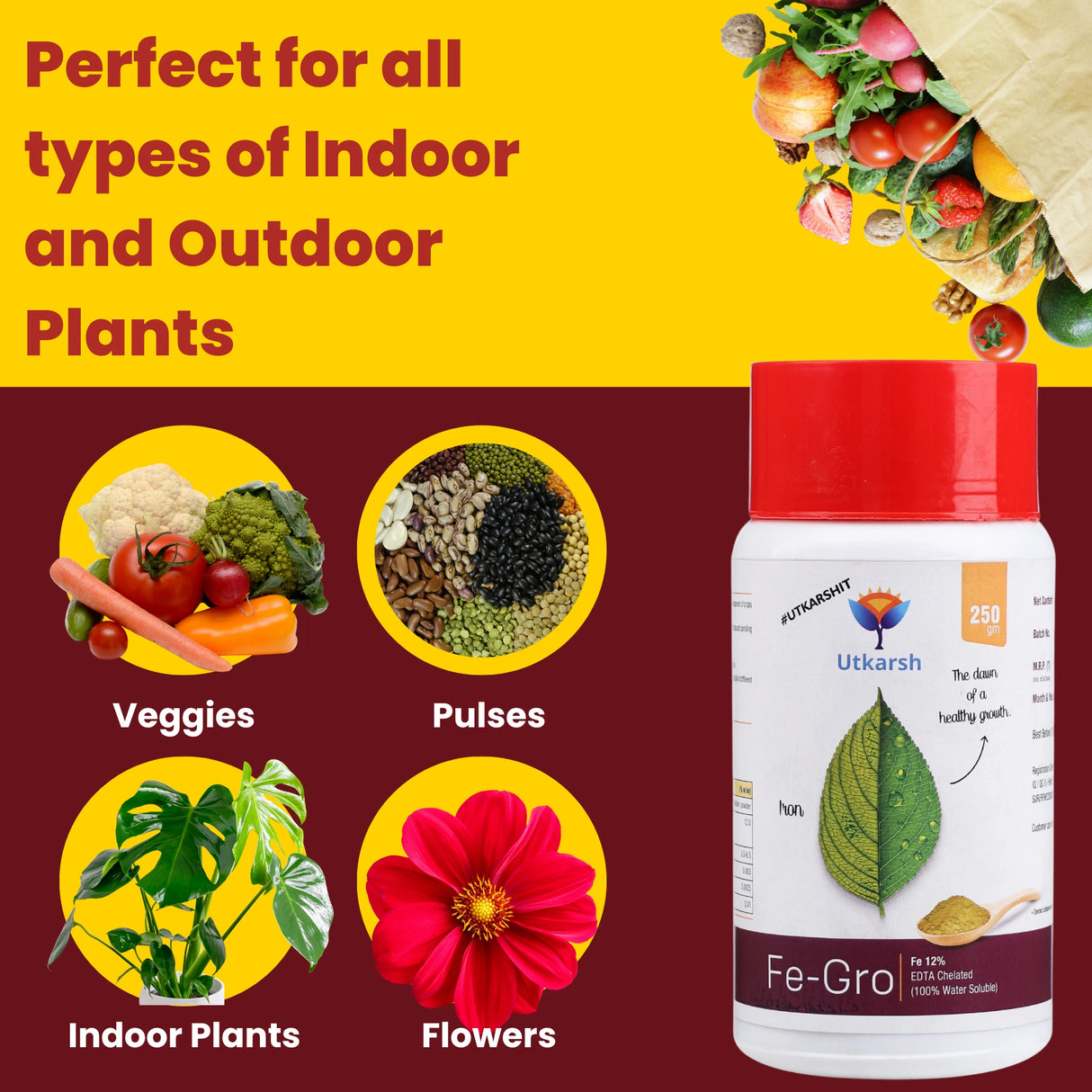 Iron - 12% EDTA Chelated for Plants, 100% Water Soluble Fertilizers, Micronutrients for Vegetables, Fruits, Flowers & Home Garden, Corrects Iron Deficiency | FeGro