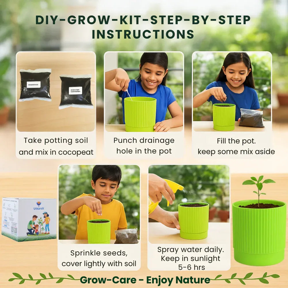 Seasonal Vegetable DIY Kit for Gifting | Best Return Gift For Kids Birthday Party | Eco-Friendly, Easy-to-Grow Kit for Home & Kitchen Gardening - Utkarsh Agrochem Pvt ltd.