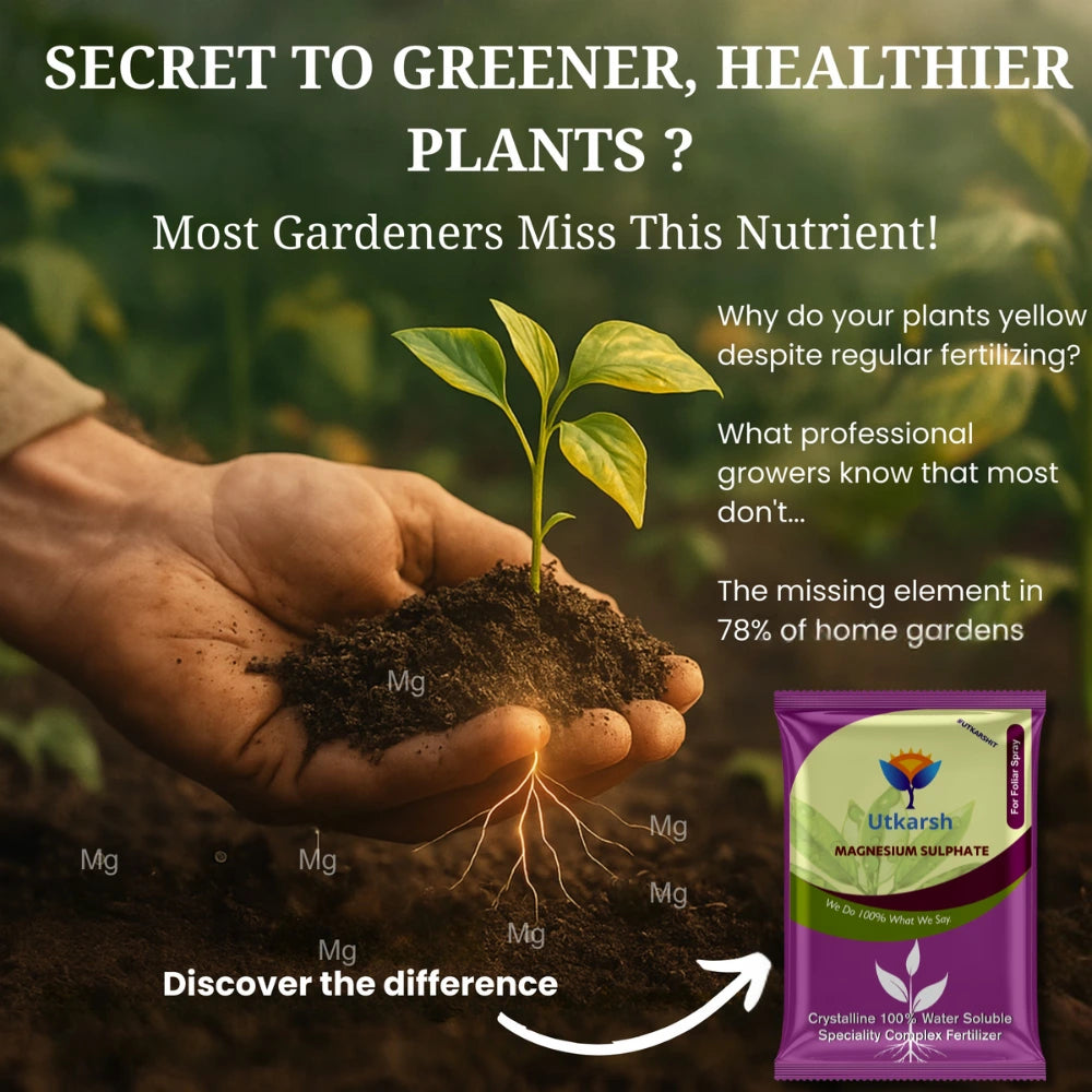 Epsom Salt - Magnesium Sulphate for Plants Growth and Home Garden | 100% Water Soluble Fertilizer | Enhances Photosynthesis & Nutrient Uptake