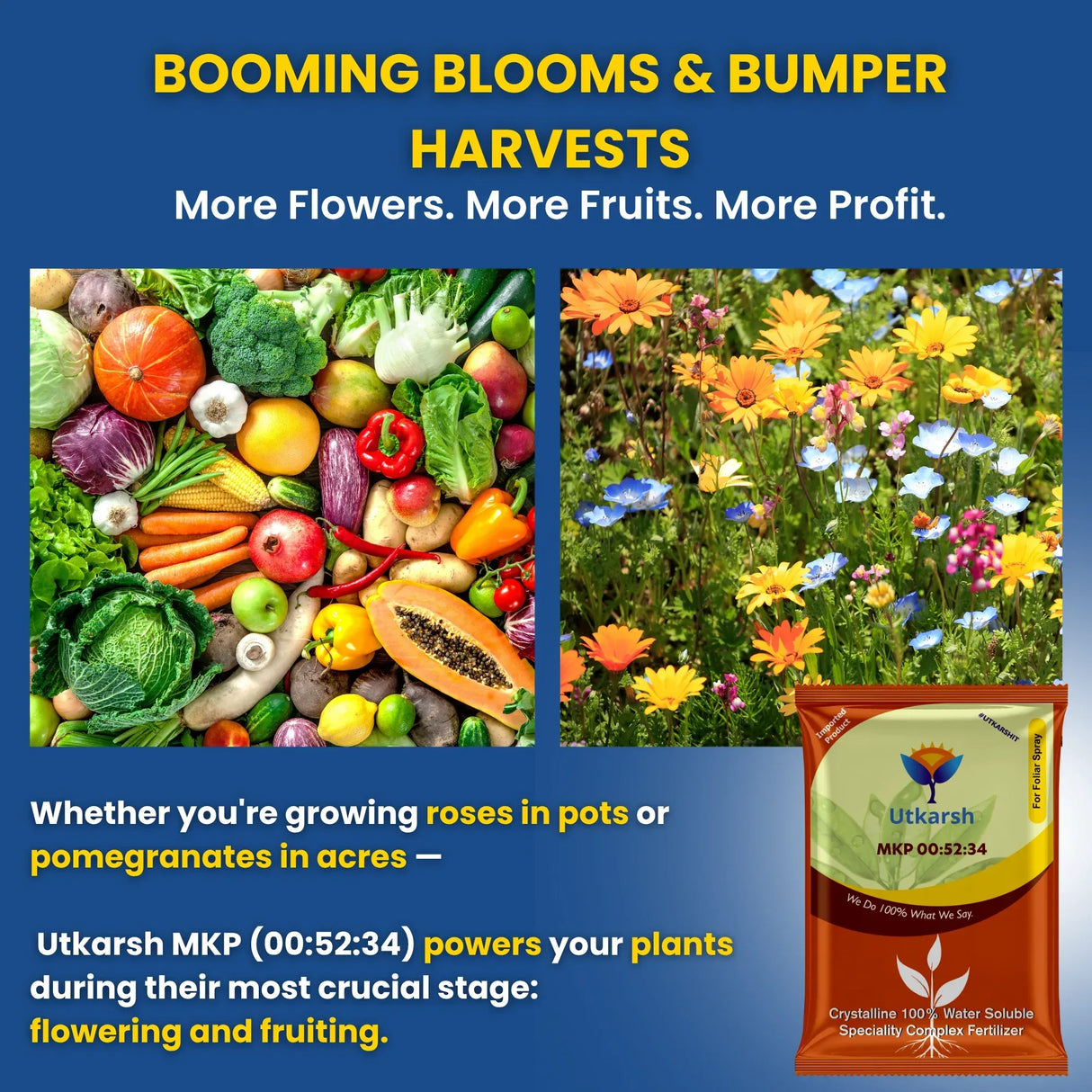 MKP 00 52 34 - Mono Potassium Phosphate, 100% Water Soluble Foliar Spray Nutrition | NPK Fertilizers for Growth, Flowering & Fruiting in Plants, Home Garden - 25 Kg Bag - Utkarsh Agrochem Pvt ltd.