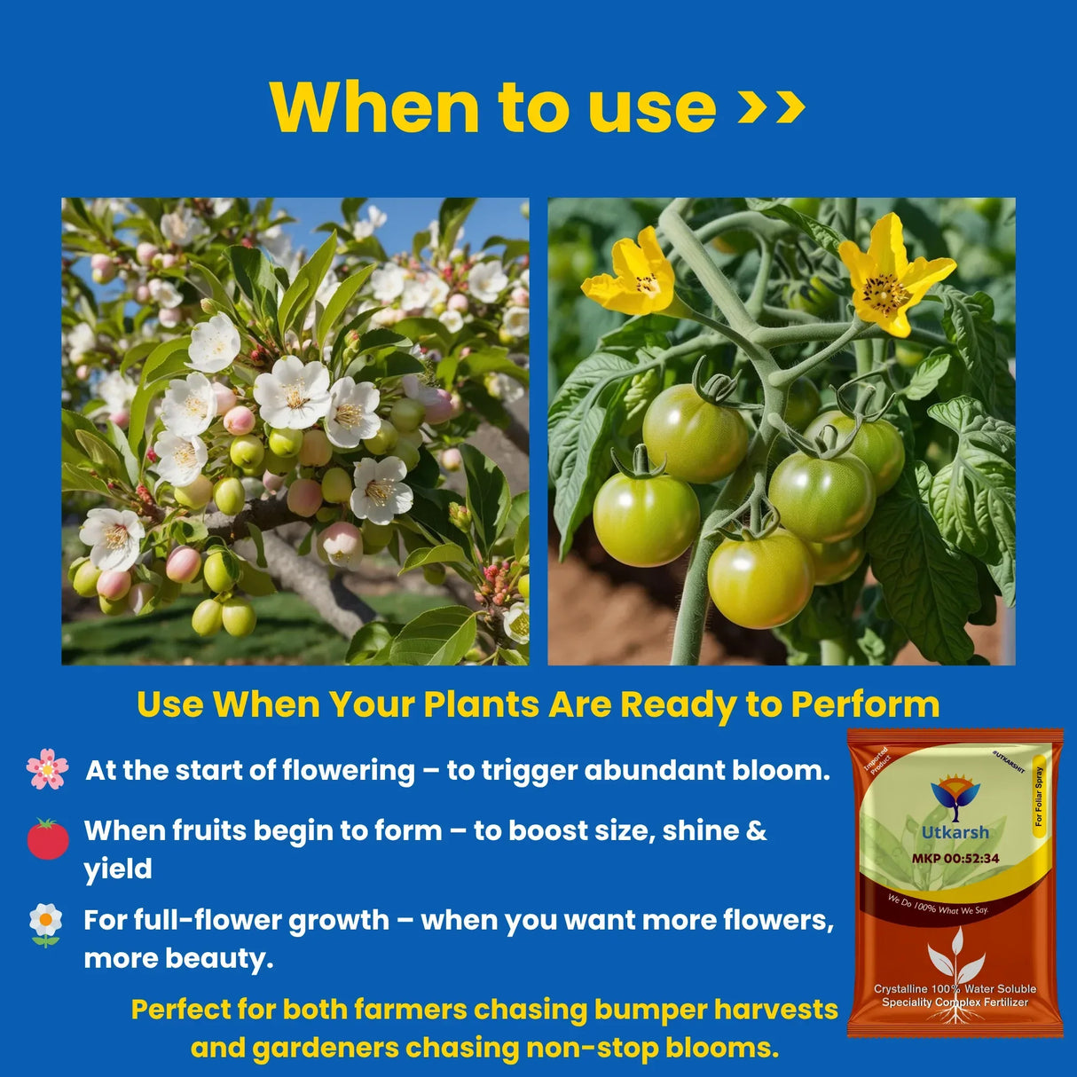 MKP 00 52 34 - Mono Potassium Phosphate, 100% Water Soluble Foliar Spray Nutrition | NPK Fertilizers for Growth, Flowering & Fruiting in Plants, Home Garden - 25 Kg Bag - Utkarsh Agrochem Pvt ltd.