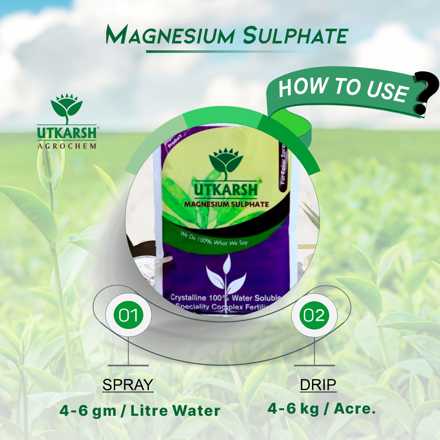Magnesium Sulphate Fertilizer