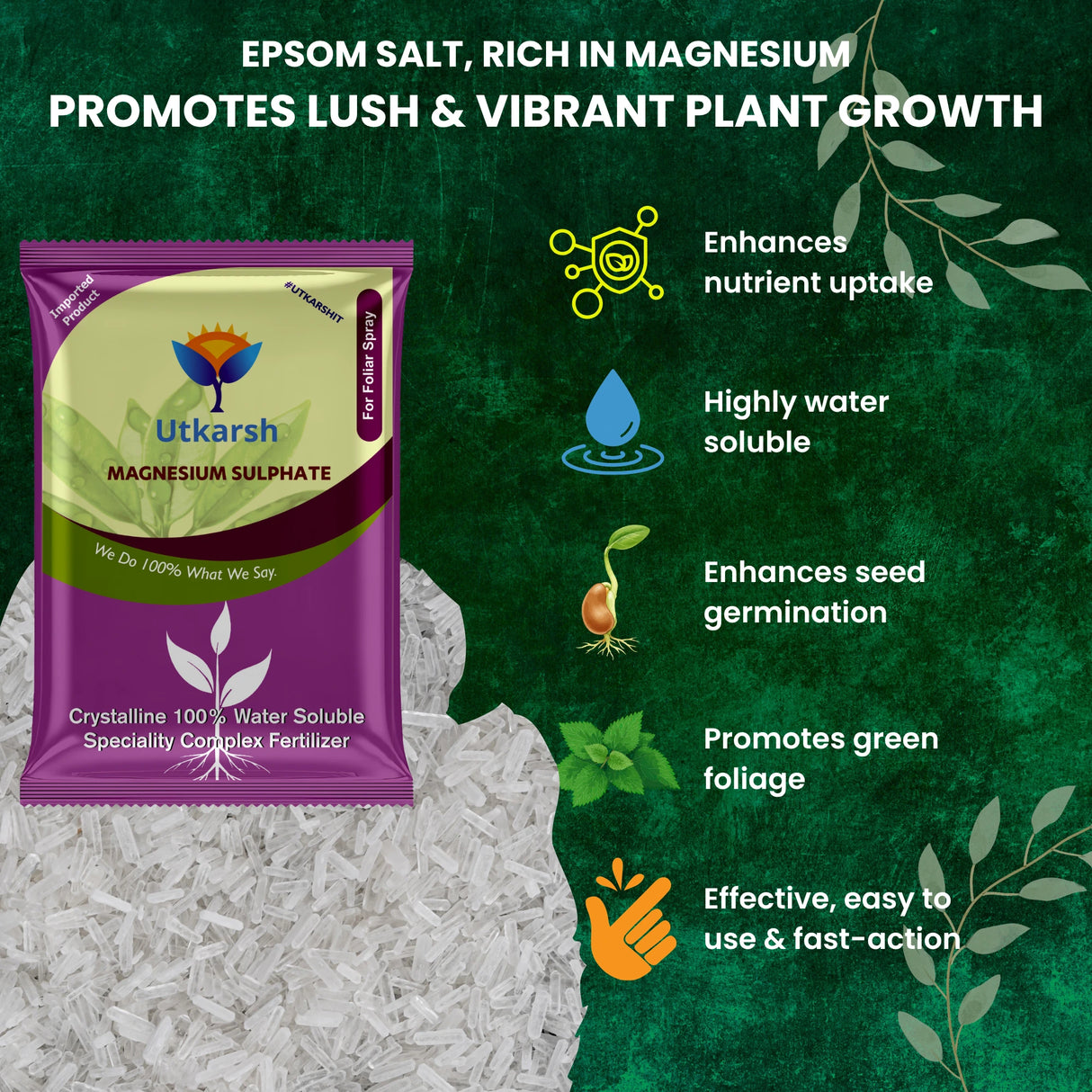 Epsom Salt - Magnesium Sulphate for Plants Growth and Home Garden | 100% Water Soluble Fertilizer | Enhances Photosynthesis & Nutrient Uptake