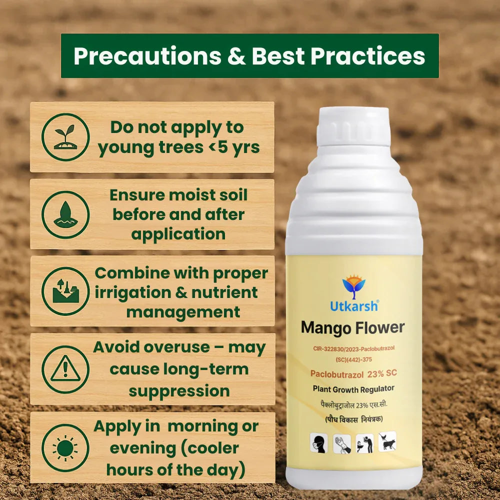 Mango Flower (Paclobutrazol 23% SC) | Plant Growth Regulator - Utkarsh Agrochem Pvt ltd.