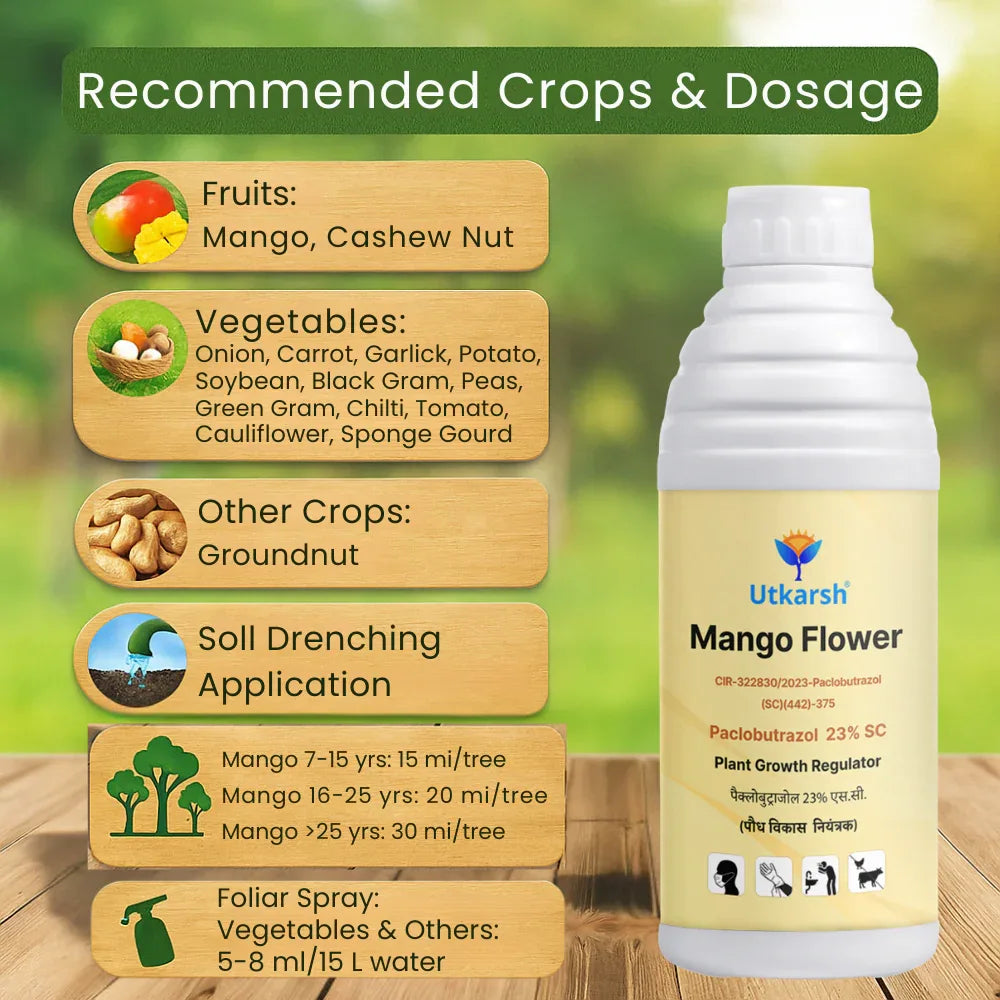 Mango Flower (Paclobutrazol 23% SC) | Plant Growth Regulator - Utkarsh Agrochem Pvt ltd.