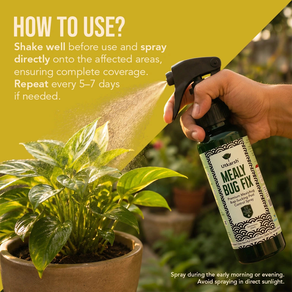 Mealy Bug Fix Spray for Plants | Organic Ready-to-Use Pest Control for Mealybugs, Aphids & Spider Mites | Pet Safe Plant Protection for Indoor Plants, Balcony & Home Garden