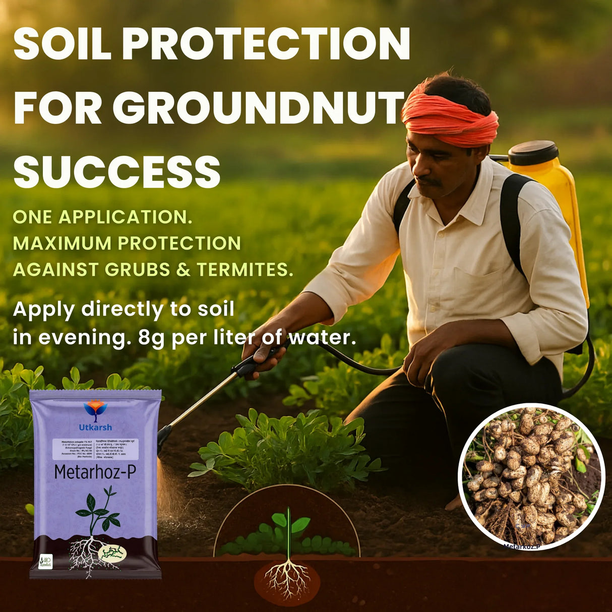Metarhizium Anisopliae 1% W.P. 1 x 10^8 CFU/gm min. Bio Insecticides for Plants, Crops and Home Gardening - Metarhoz-P - Utkarsh Agrochem Pvt ltd.