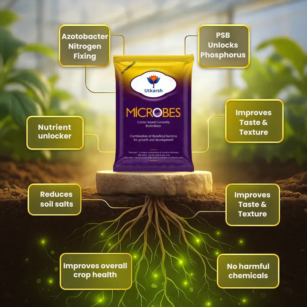Microbes (Carrier Based Consortia - Azotobacter, Acetobacter, Rhizobium, Phosphorus Solubilizing Bacteria PSB, Potassium Mobilizing Bacteria KMB) - 25 Kg Pack - Utkarsh Agrochem Pvt ltd.
