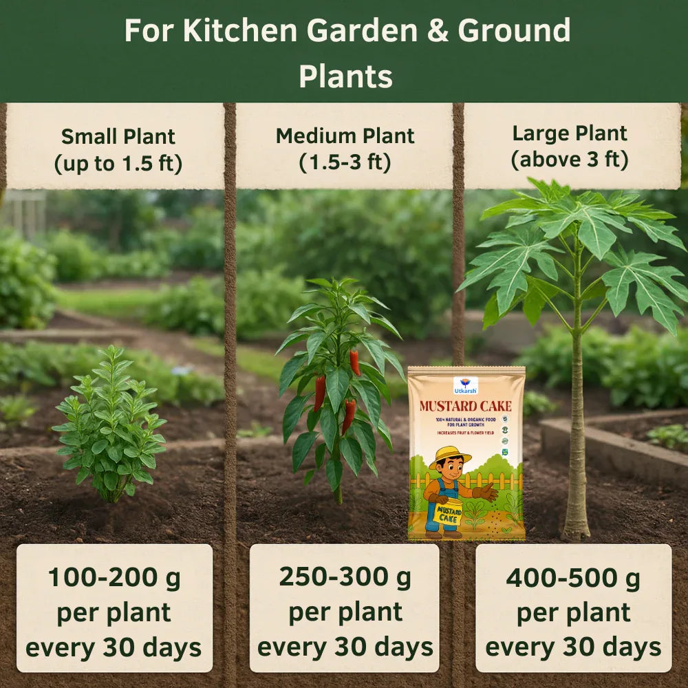 Utkarsh Mustard Cake Powder for Healthy Plants Growth, 100% Pure Organic Sarson Khali, Plant Food for Stronger Roots, Bigger Blooms, Healthier Harvests - Utkarsh Agrochem Pvt ltd.