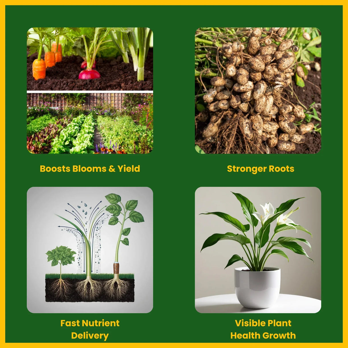NPK 13 40 13 Fertilizers for Plants | 100% Water Soluble Powder | Complete Plant Food and Nutrition for Healthy Home Garden, Growth Boost for Fruits and Flowers - 25 Kg Bag - Utkarsh Agrochem Pvt ltd.