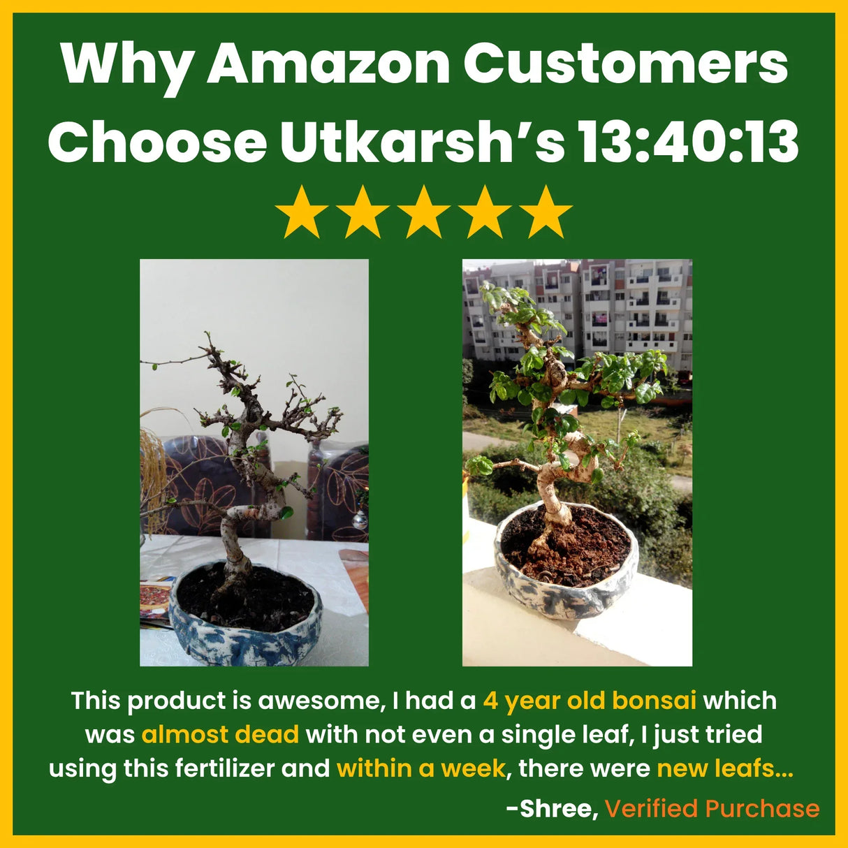 NPK 13 40 13 Fertilizers for Plants | 100% Water Soluble Powder | Complete Plant Food and Nutrition for Healthy Home Garden, Growth Boost for Fruits and Flowers - 25 Kg Bag - Utkarsh Agrochem Pvt ltd.