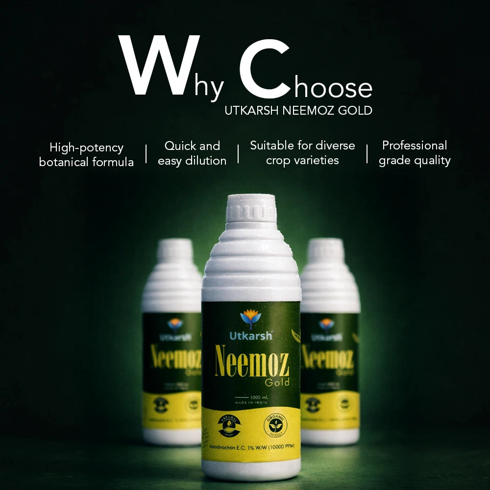 Neemoz Gold | Organic Neem Oil Bio-Insecticide with 10000 PPM Azadirachtin EC 1% W/W | Ideal for Tomato, Brinjal, Chilli, Cotton & Commercial Crop Pest Control