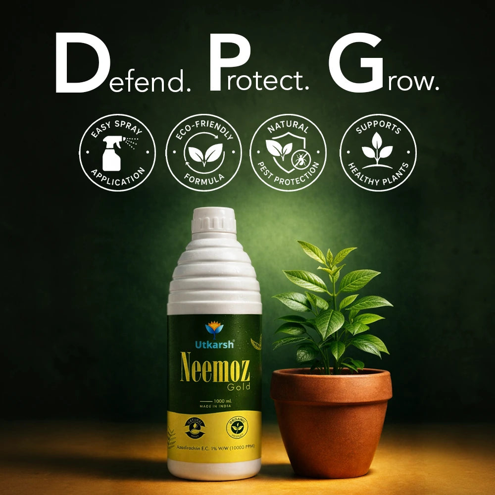 Neemoz Gold | Organic Neem Oil Bio-Insecticide with 10000 PPM Azadirachtin EC 1% W/W | Ideal for Tomato, Brinjal, Chilli, Cotton & Commercial Crop Pest Control