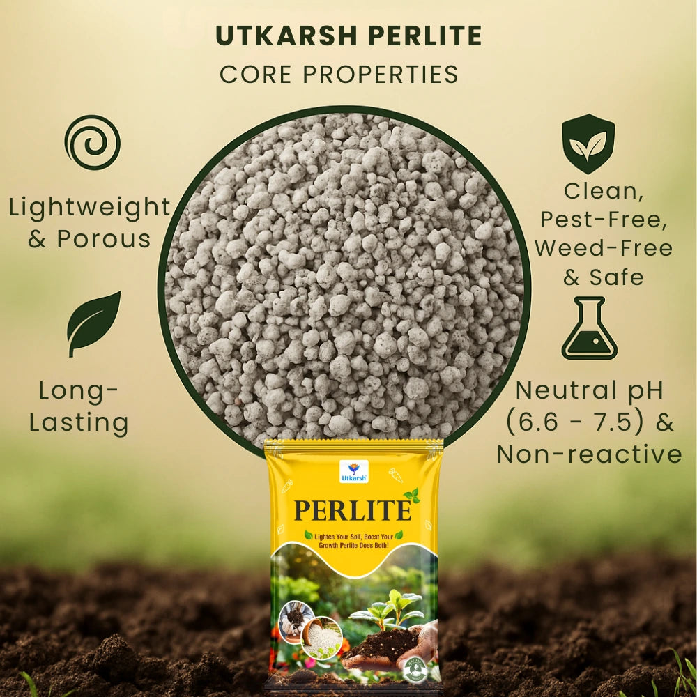 Perlite for Plants Growth, Home Terrace Garden, Indoor & Outdoor Plants, Hydroponics & Horticulture, Conditioner for Potting Soil Mix, Enhances Drainage & Aeration | Size: 2 - 7 mm
